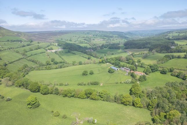 Featherholme Farm, Bilsdale, York photo 3