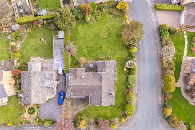 21 Firs Crescent, Harrogate photo 4