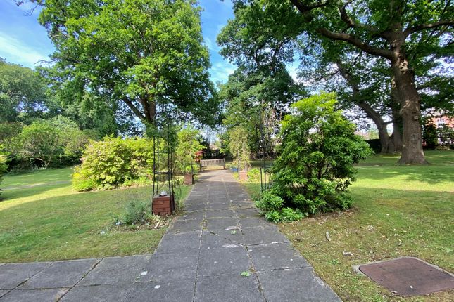 36, Southampton photo 3