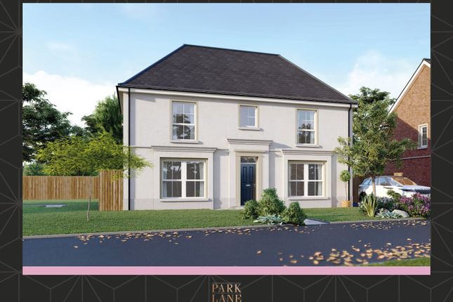 Thumbnail Detached house for sale in Park Lane, Antrim Road, Newtownabbey, County Antrim