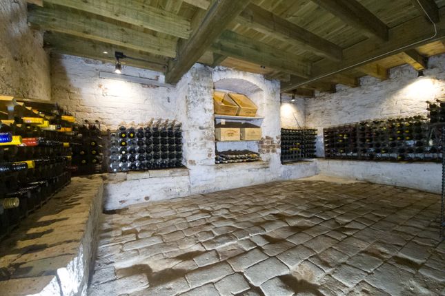 400+ Original Wine Cellar