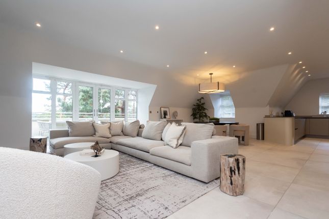 Long Shot Of Living Room