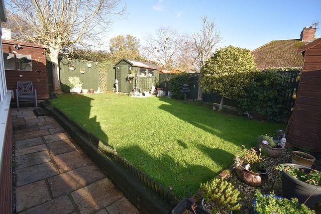 48, Summer Lane, Exeter photo 3
