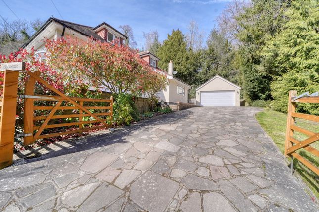 Beechwood, Hangrove Hill, Orpington photo 3