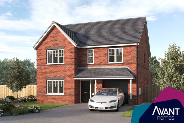 Thumbnail Detached house for sale in "The Tamwood" at Buckthorn Drive, Barton Seagrave, Kettering