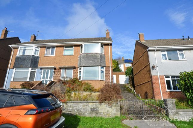 More Property Information