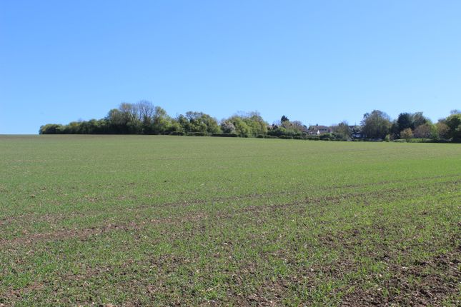 Bartlow Road, Hadstock photo 4