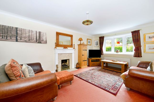 29 Foxholes, Horsham photo 2