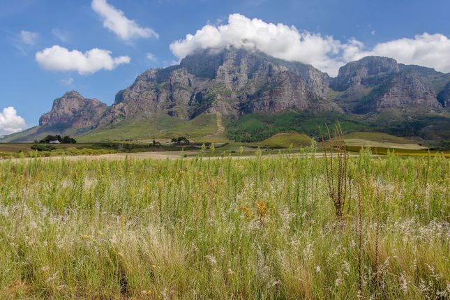 Simondium Plaisir Wine Estate Farm 8, Simondium, Cape Winelands, Western Cape ...