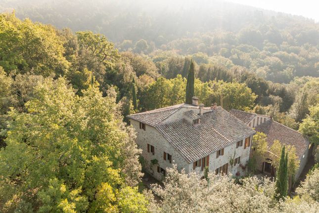 Thumbnail Country house for sale in Via Delle Rocce, Sovicille, Toscana