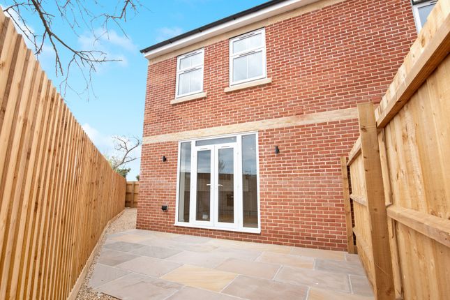 Semi-detached house to rent in Three Crowns Road, Colchester