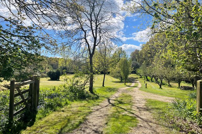 Farmhouse for sale in Lymington Road, Brockenhurst