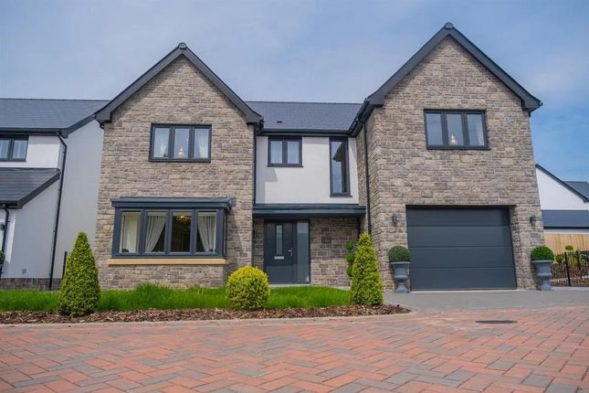 Thumbnail Detached house for sale in The Caerleon - The Willows, Olchfa, Sketty, Swansea