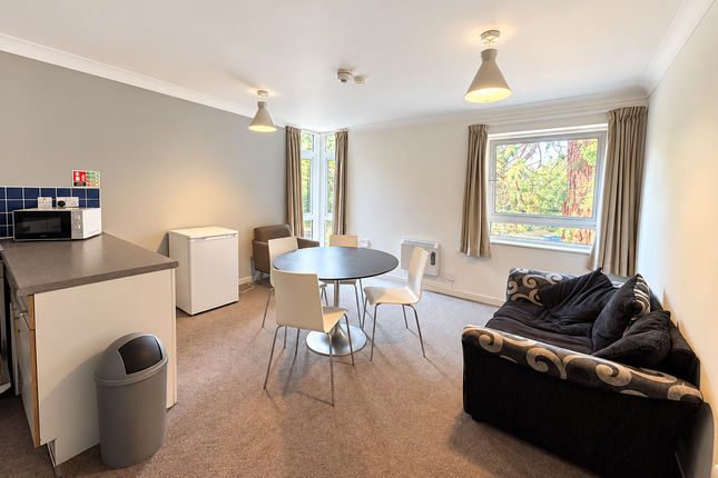 4, Orpington photo 5