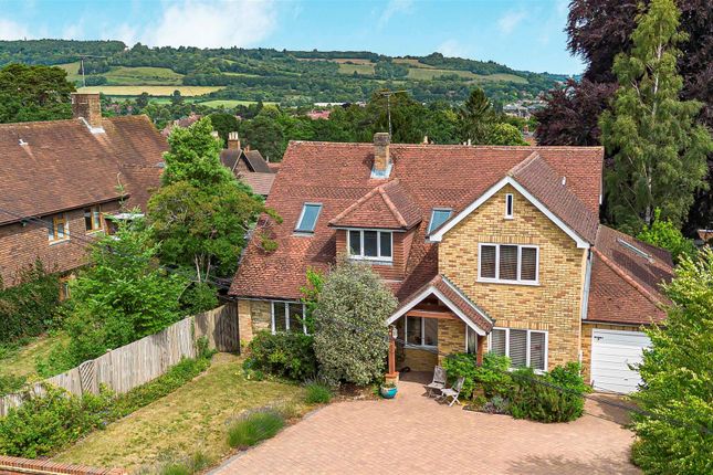 33_56417 Cropped.Jpg