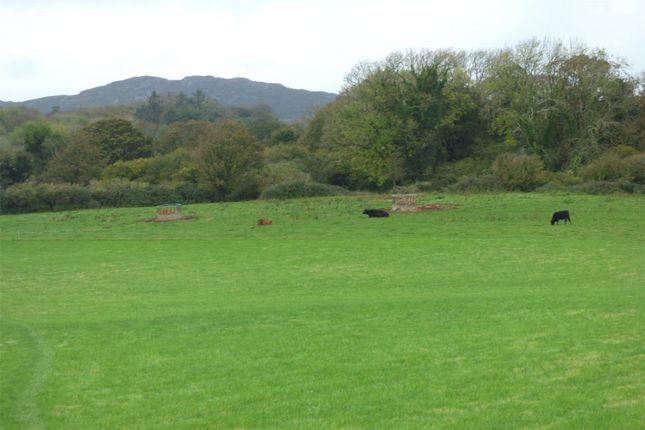 Rural Views