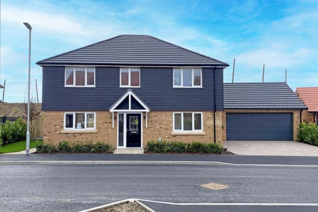 Thumbnail Detached house for sale in The Thorndon, Plot 12, St Stephens Park