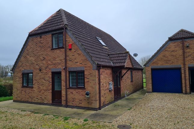 Thumbnail Detached house to rent in The Avenue, East Ravendale