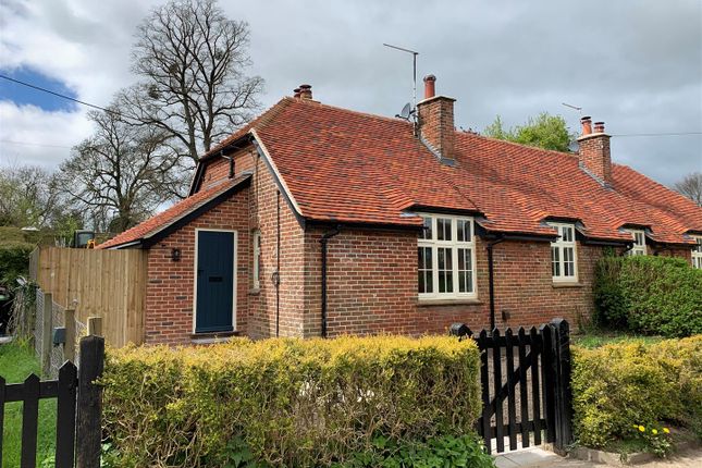 Thumbnail Semi-detached bungalow to rent in Castle Street, Cranborne, Wimborne