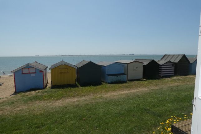 Beach Hut 483, Victoria Esplanade, West Mersea photo 4