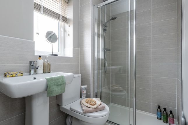 En Suite To The Main Bedroom With Shower