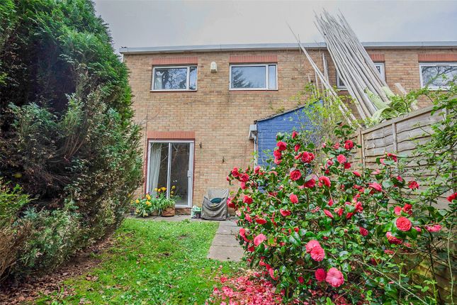 Thumbnail Terraced house for sale in Southwood Avenue, Bristol