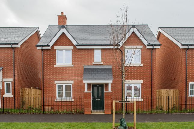 13 etain walk - thistle RL, Leaf Living at Chesterwell, Mile End, CO4, Mile End photo 2