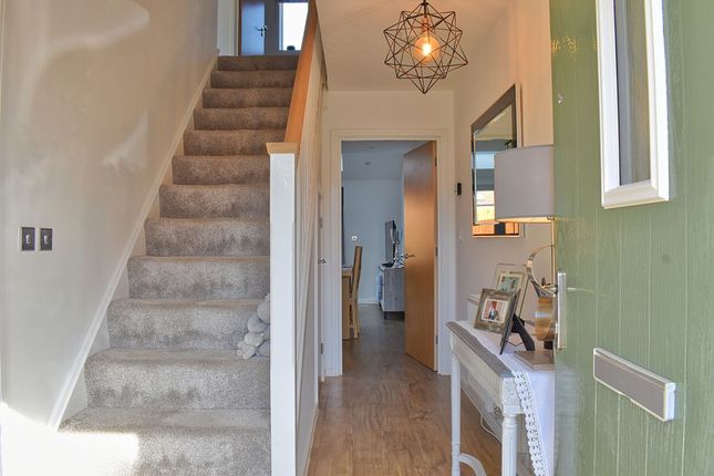 19, Crocus Close, Newark photo 3
