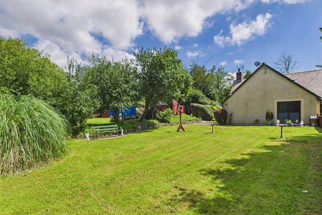 Primrose Cottage, Haverfordwest photo 3