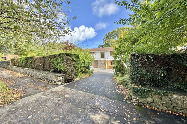 33, Derwen Fawr Road, Swansea photo 3