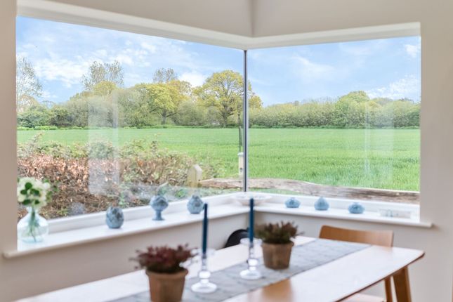 4 Acre Street, Chichester photo 4