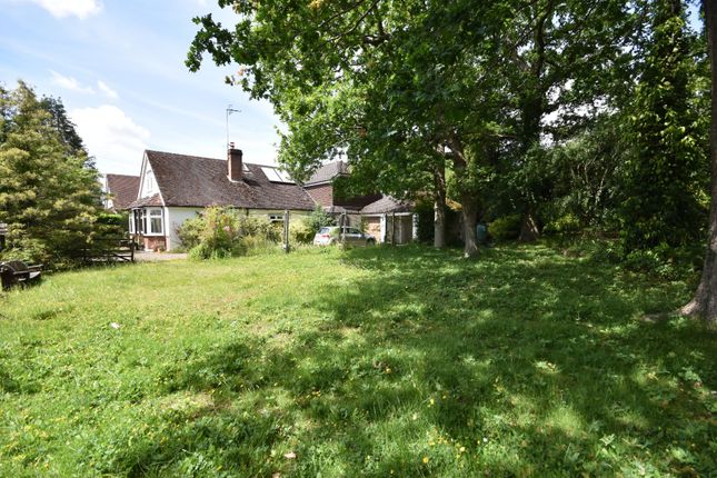 217, Smallfield Road, Surrey photo 3