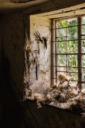 Narborough Hall_49.Jpg