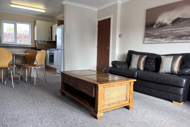 42, Swansea photo 3