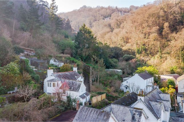 Castle Hornet, Lynmouth photo 3