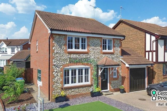 Thumbnail Detached house to rent in The Rockery, Farnborough, Hampshire