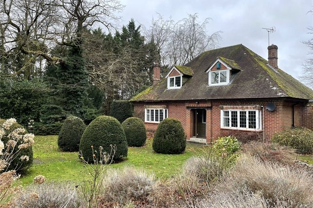 Detached house to rent in Shefford Woodlands, Hungerford, Berkshire