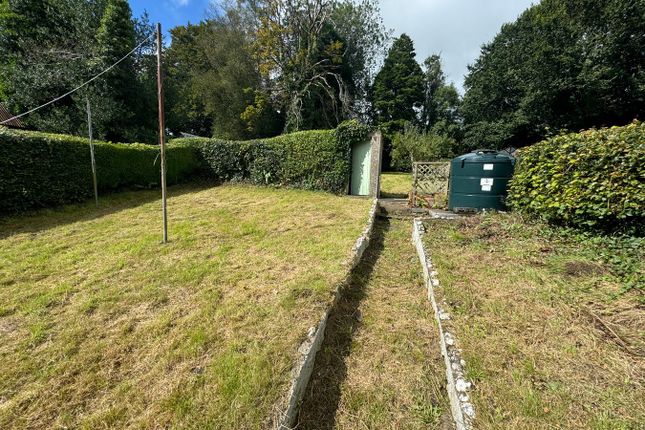 Brynteifi, Llanybydder photo 3