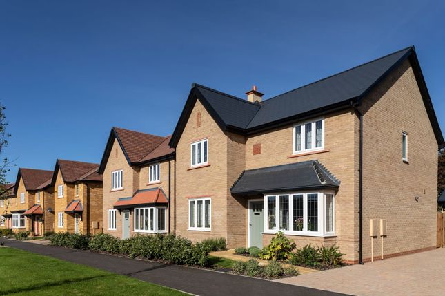 Thumbnail Detached house for sale in "The Harwood" at Great North Road, Little Paxton, St. Neots