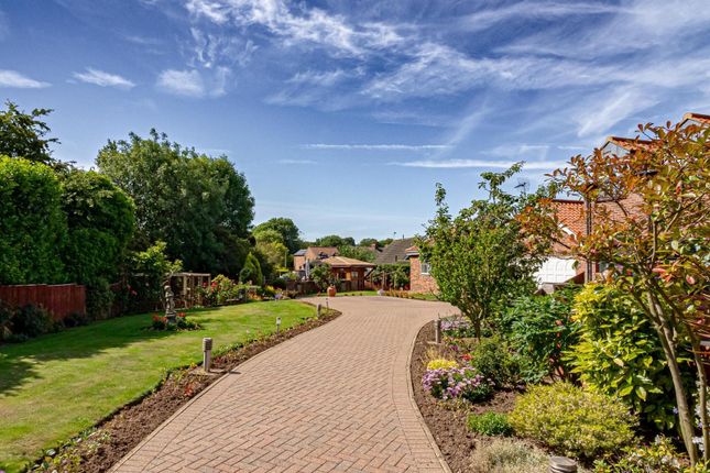 Thumbnail Bungalow for sale in Beckside Manor, Roos, Hull, East Yorkshire