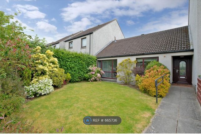 Thumbnail Bungalow to rent in Lewis Drive, Aberdeen