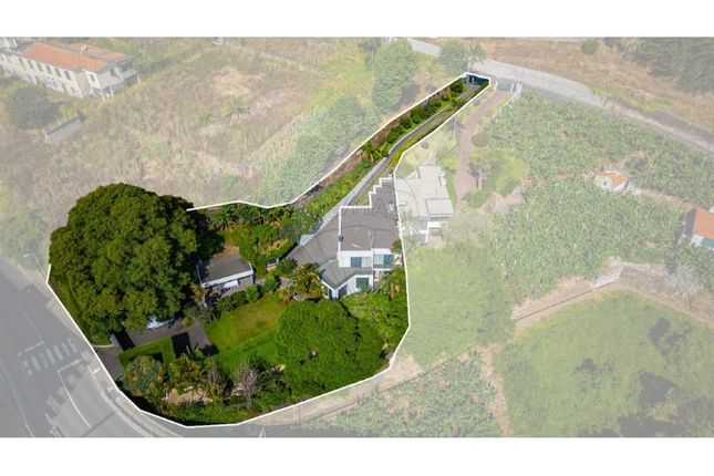 Thumbnail Detached house for sale in São Martinho, Funchal, Ilha Da Madeira