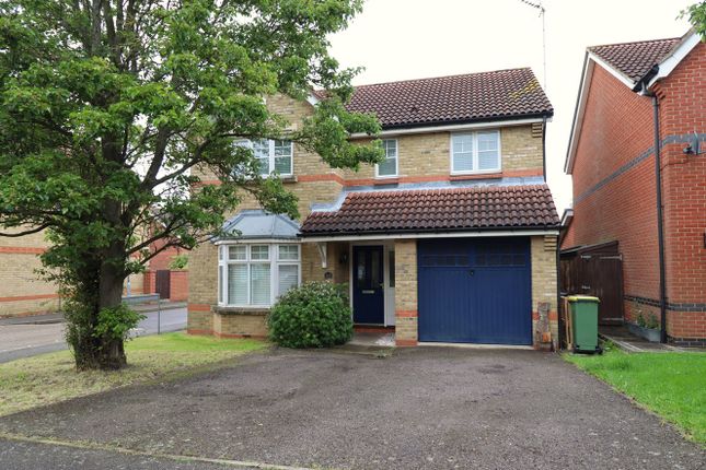 Thumbnail Detached house for sale in Kestrel Grove, Rayleigh