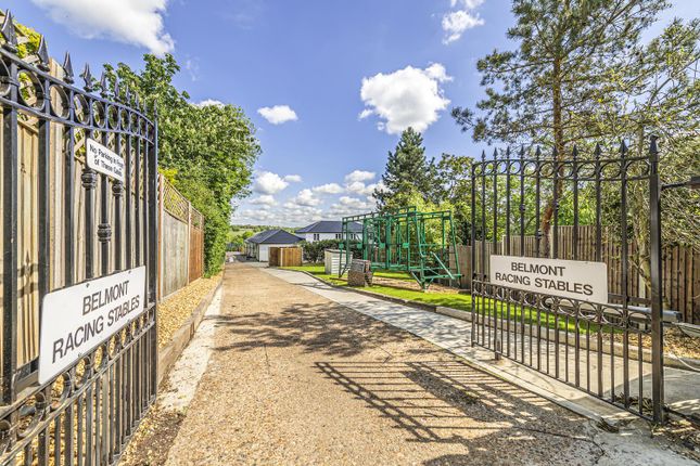 Belmont Racing Stables, St Vincents Lane, St Vincents Lane, Mill Hill photo 3