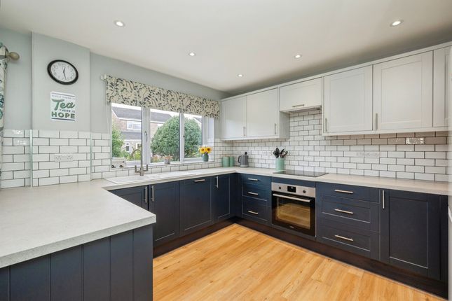 67, Holman Road, Norwich photo 4