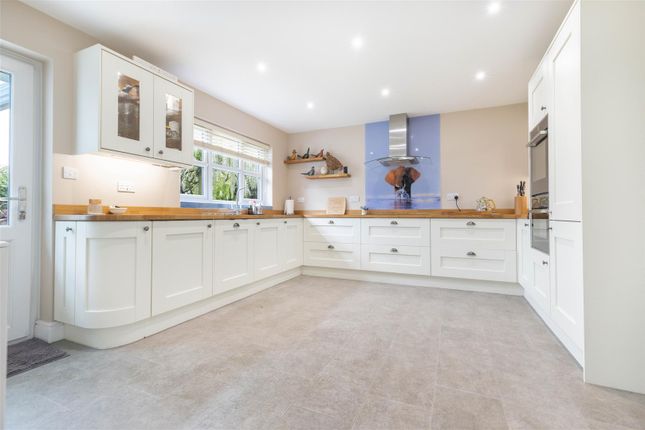 The Nutshell, Parsonage Lane, Chelmsford photo 2