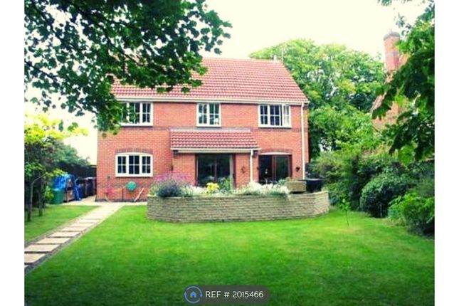 Thumbnail Detached house to rent in William Street, Loughborough