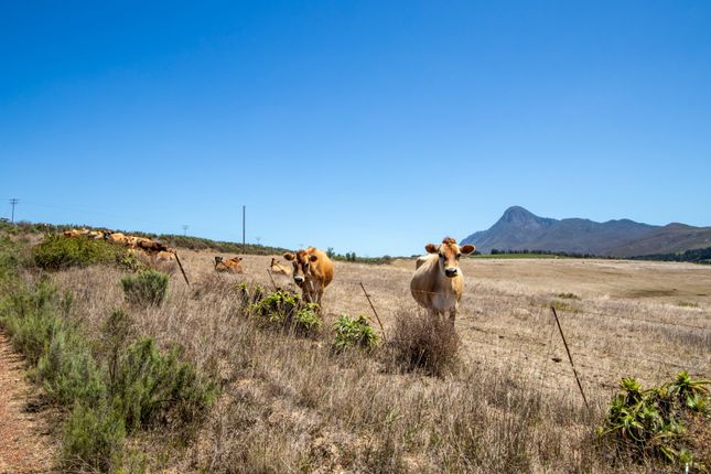Farmhouse for sale in Hemel &amp; Aarde Valley, Hermanus Rural, Cape Town, Western Cape, South Africa