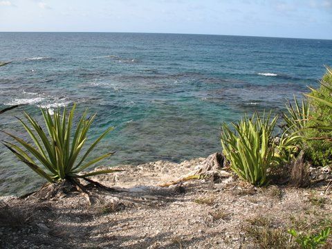 Land for sale in Dian Bay, St. Peters, Antigua And Barbuda