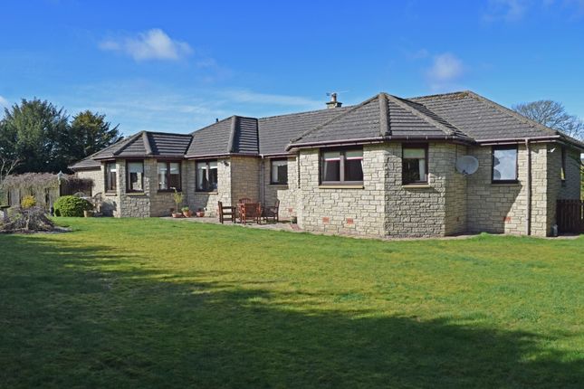 Apr 14, 2019  The Hollybank Restaurant, Stirling: See 394 unbiased reviews of The Hollybank Restaurant, rated 4.5  Flights Vacation Rentals Restaurants  !